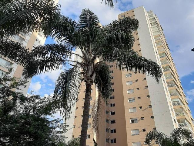 #536 - Apartamento para Venda em São Paulo - SP - 3