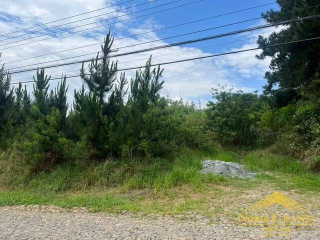 Área para Venda em Cotia - 4