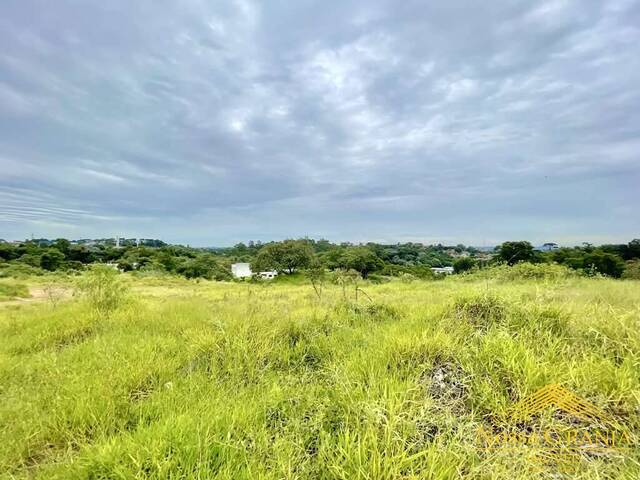 Área para Venda em Cotia - 4