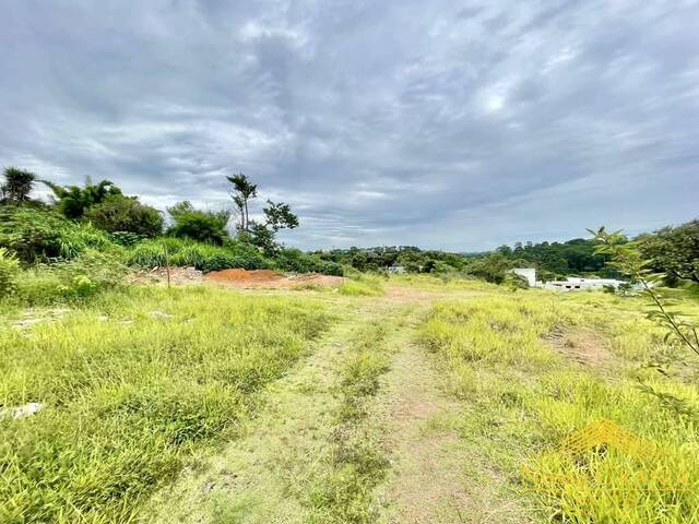 Área para Venda em Cotia - 5