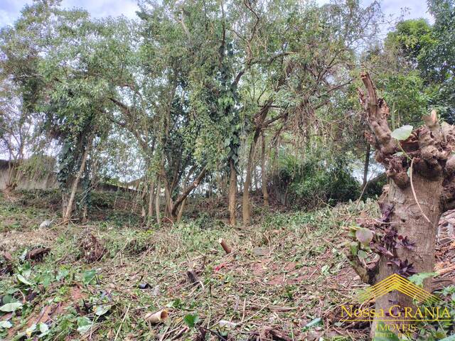 #1118 - Terreno para Venda em Carapicuíba - SP - 3